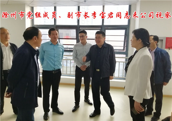副市长李宝君来公司视察工作